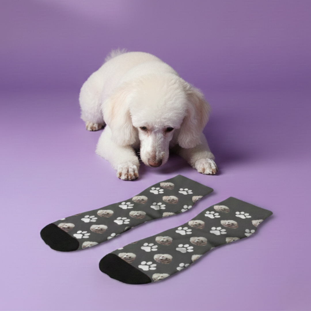 DogSocks™