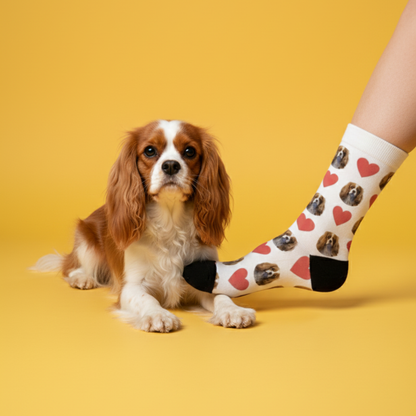 DogSocks™