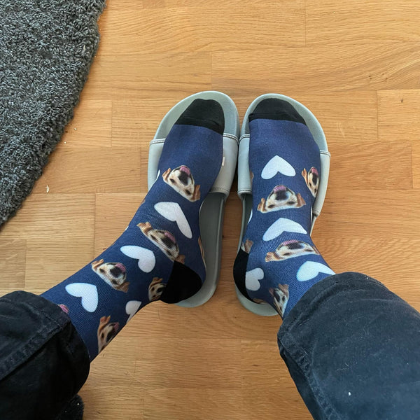 Beagle · Marineblå med hjerter
