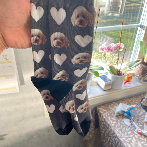 Cockapoo · Marineblå med hjerter