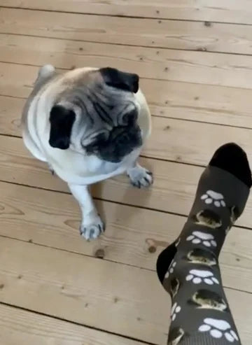 Mops · Mørk grå med poter