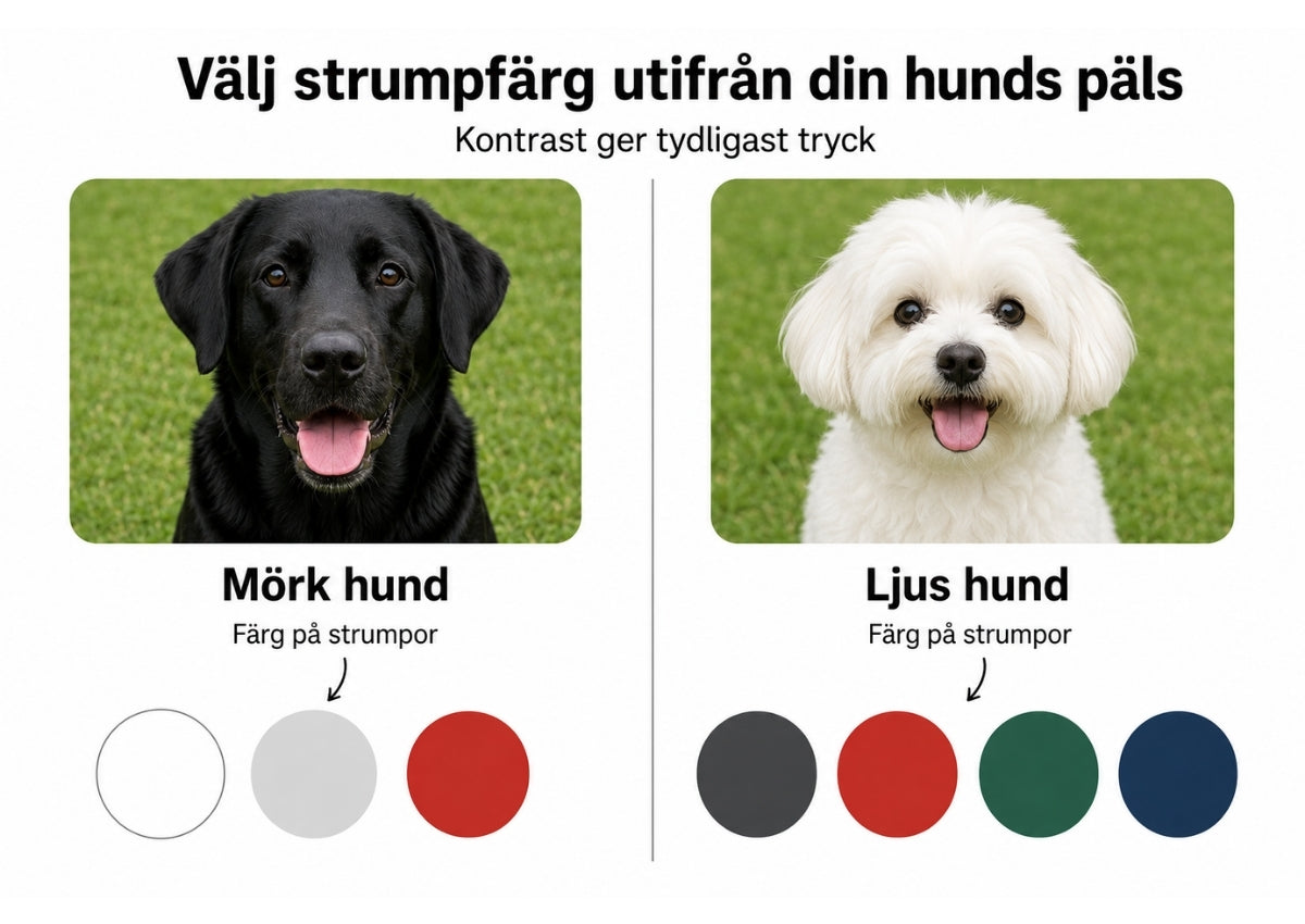 Strumpfärgsrekommendationer baserat på pälsfärg